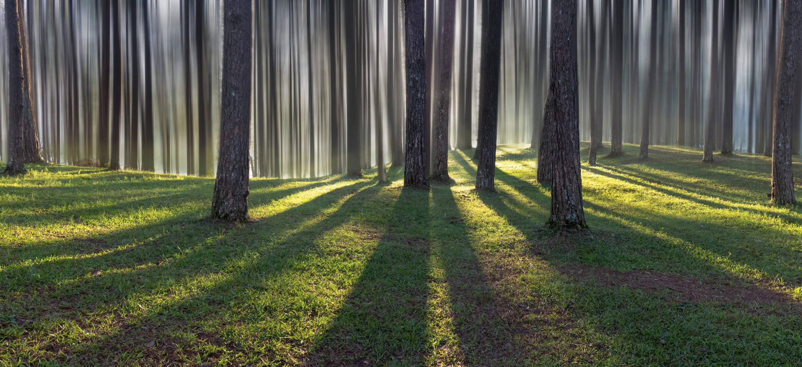 Sustainability Integration in the pensions insurance market featured image
