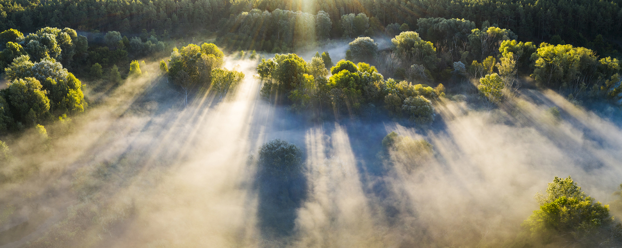 DB surplus: Making the big decisions for your scheme featured image
