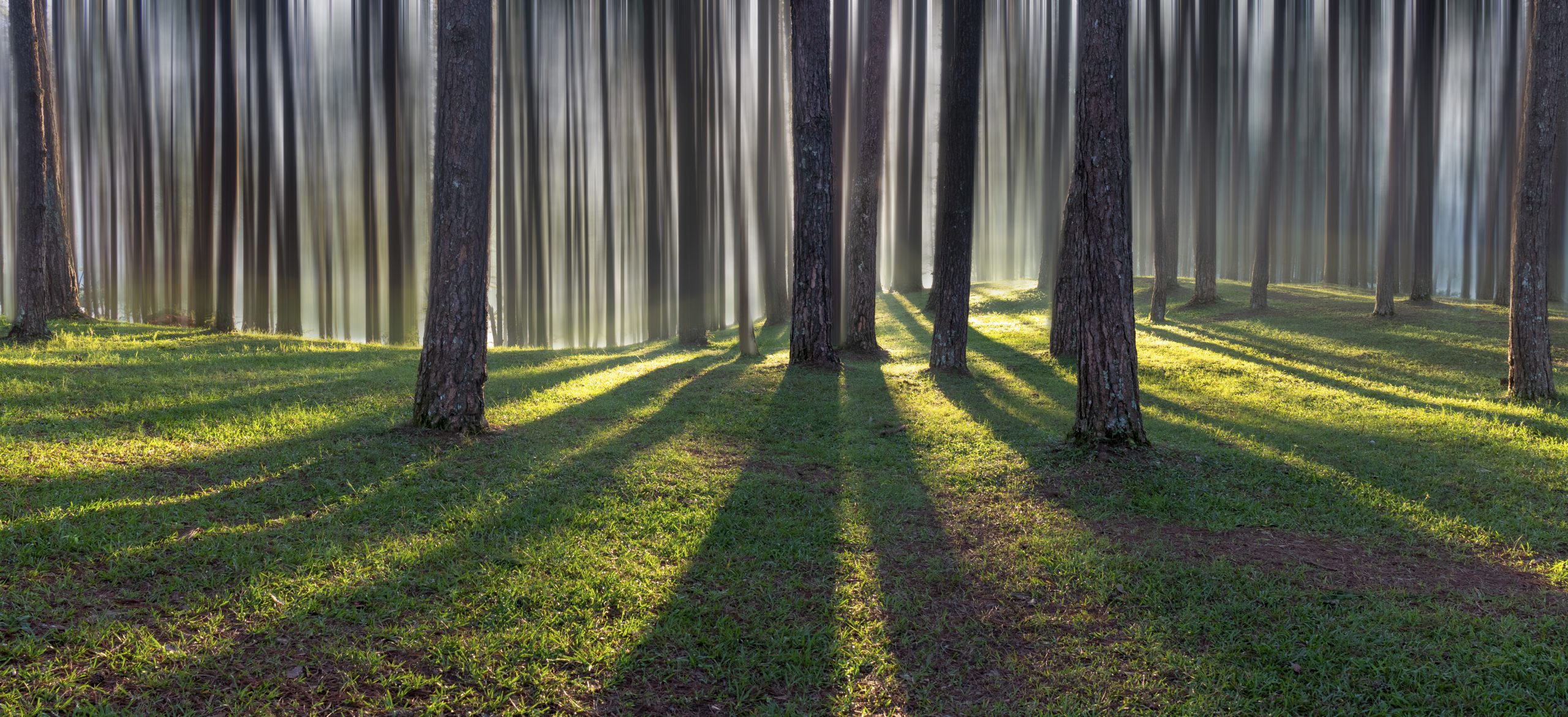 Sustainability Integration in the pensions insurance market featured image